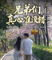 兄弟们真心准没错