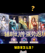 全辅助宠讲解(上)